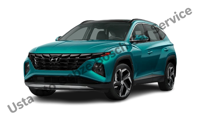 Gebze Hyundai Servisi